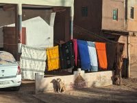 228) Fahrt durch das Dades Tal, Marokko