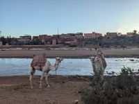 255) Spaziergang durch Aït-Ben-Haddou, Marokko