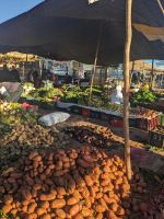 269) Marktbesuch in der Region um Aït Ben Haddou, Marokko
