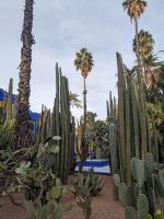 342) Jardin Majorelle, Garten von Yves Saint Laurent, Marrakesch, Marokko