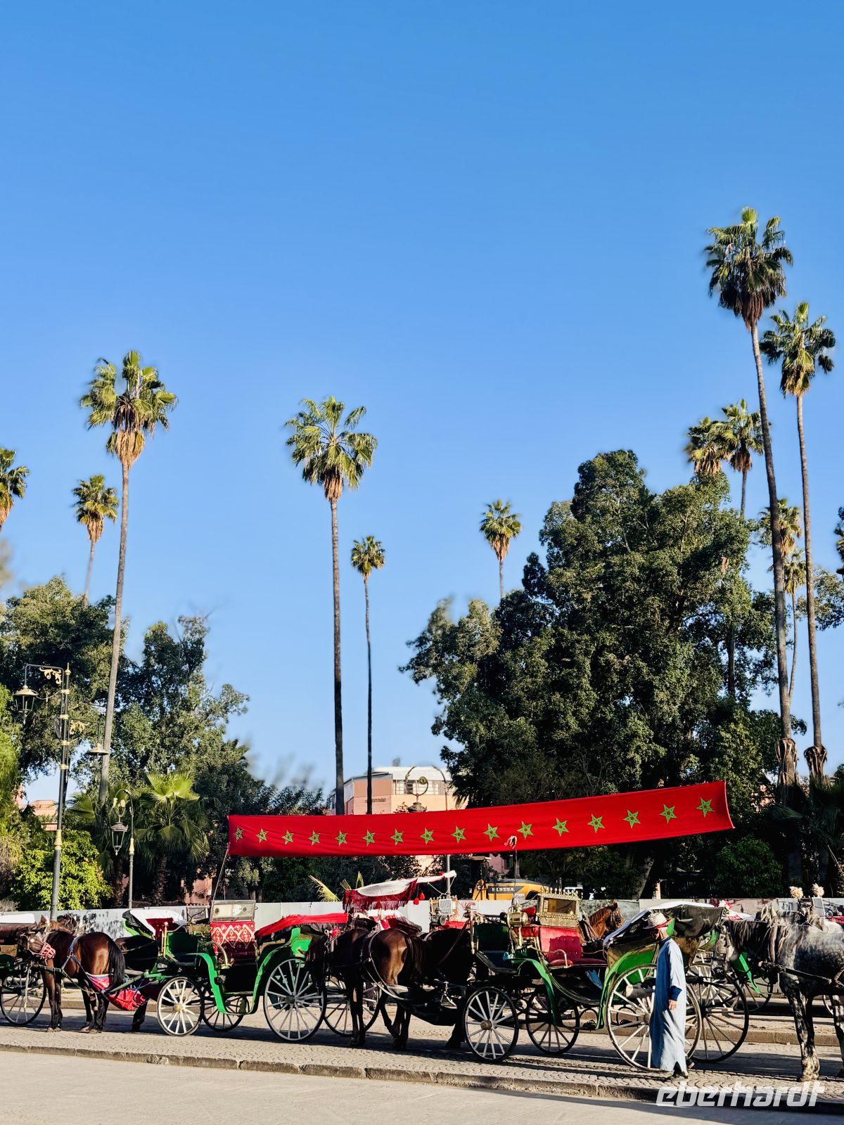 1. Tag - Pferdekutschen am Djemaa el-Fnaa, Marrakesch  &ndash; &copy;  (Eberhardt TRAVEL)