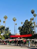 1. Tag - Pferdekutschen am Djemaa el-Fnaa, Marrakesch  &ndash; &copy; Christin Kuschka (Eberhardt TRAVEL)