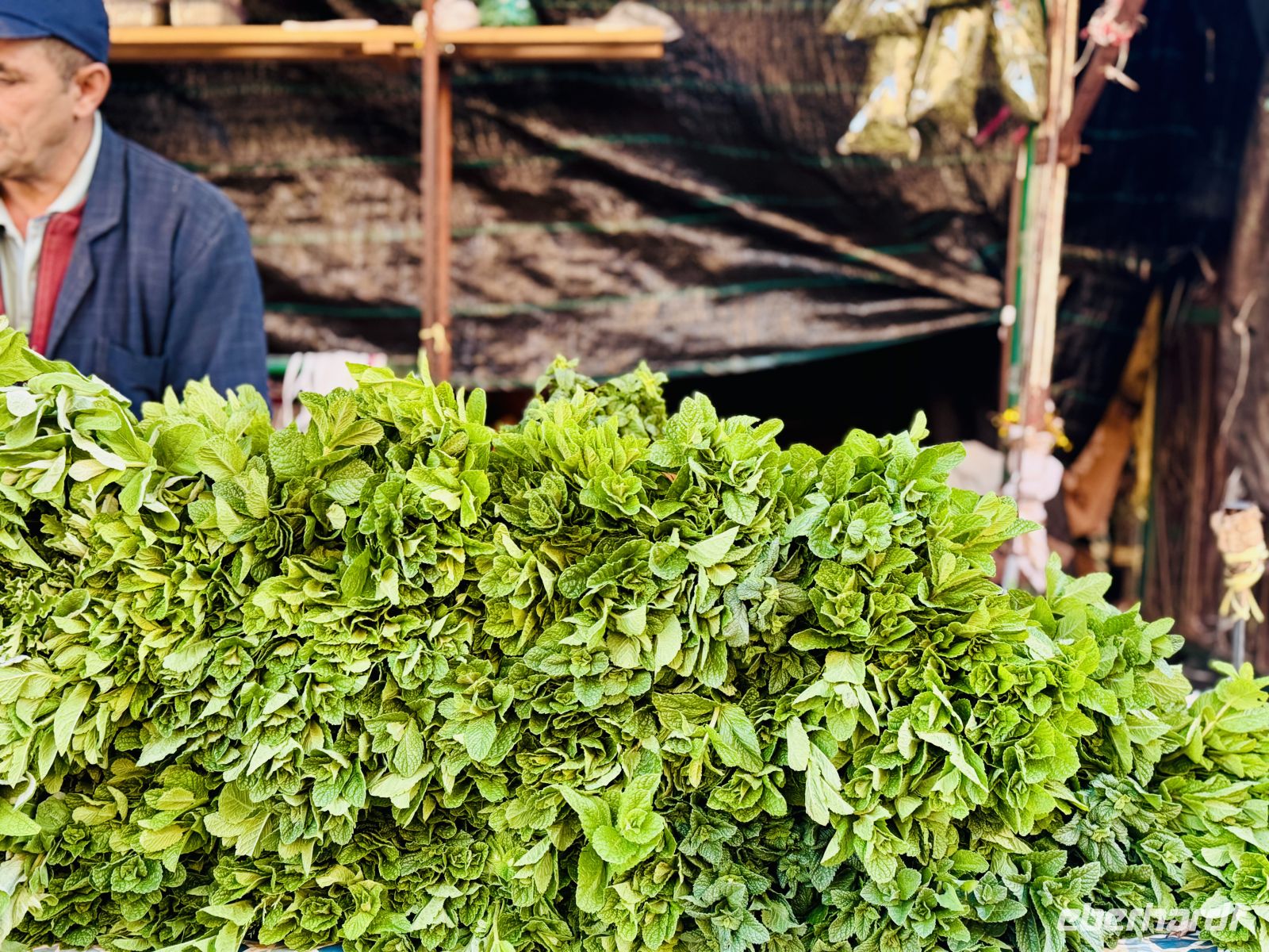 1. Tag - Frische Minze auf dem Djemaa el-Fnaa, Marrakesch  &ndash; &copy;  (Eberhardt TRAVEL)