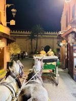 1. Tag - Kutschfahrt durch Marrakesch  &ndash; &copy; Christin Kuschka (Eberhardt TRAVEL)