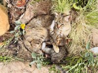 2. Tag - Impressionen aus Marrakesch  &ndash; &copy; Christin Kuschka (Eberhardt TRAVEL)