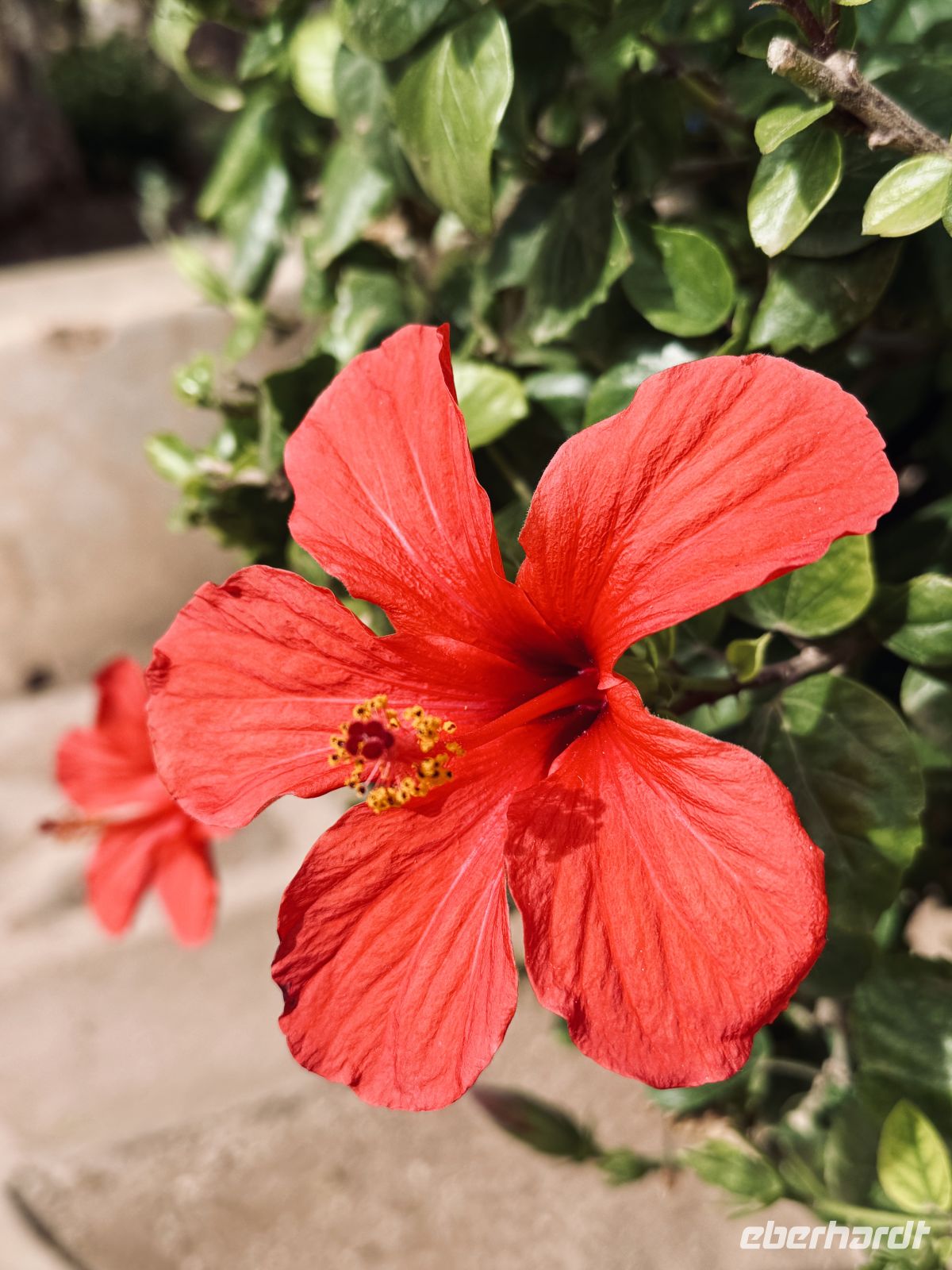 2. Tag - Impressionen aus Marrakesch  &ndash; &copy;  (Eberhardt TRAVEL)