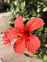 2. Tag - Impressionen aus Marrakesch  &ndash; &copy; Christin Kuschka (Eberhardt TRAVEL)