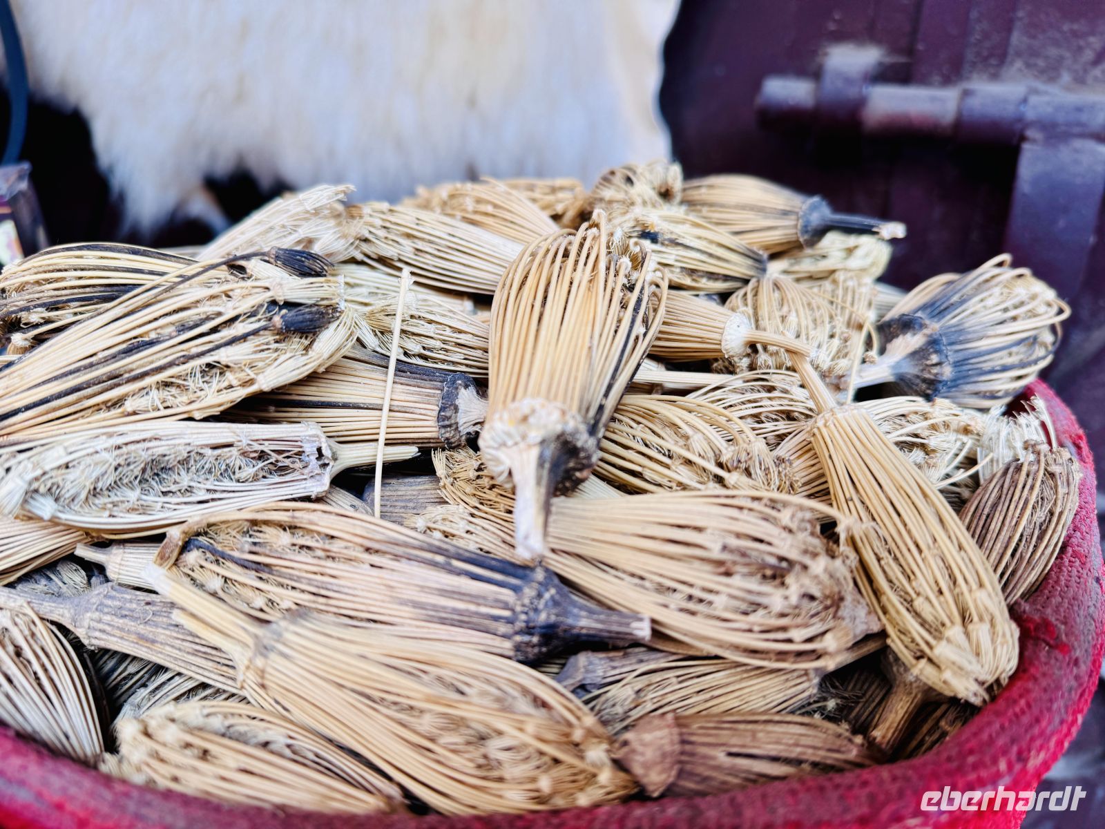 2. Tag - Marokkanische Zahnstocher  &ndash; &copy;  (Eberhardt TRAVEL)