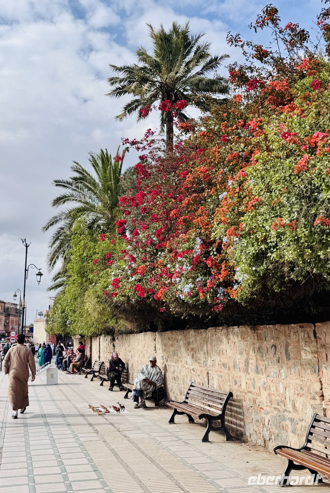 2. Tag - Impressionen aus Marrakesch  &ndash; &copy;  (Eberhardt TRAVEL)