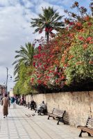 2. Tag - Impressionen aus Marrakesch  &ndash; &copy; Christin Kuschka (Eberhardt TRAVEL)