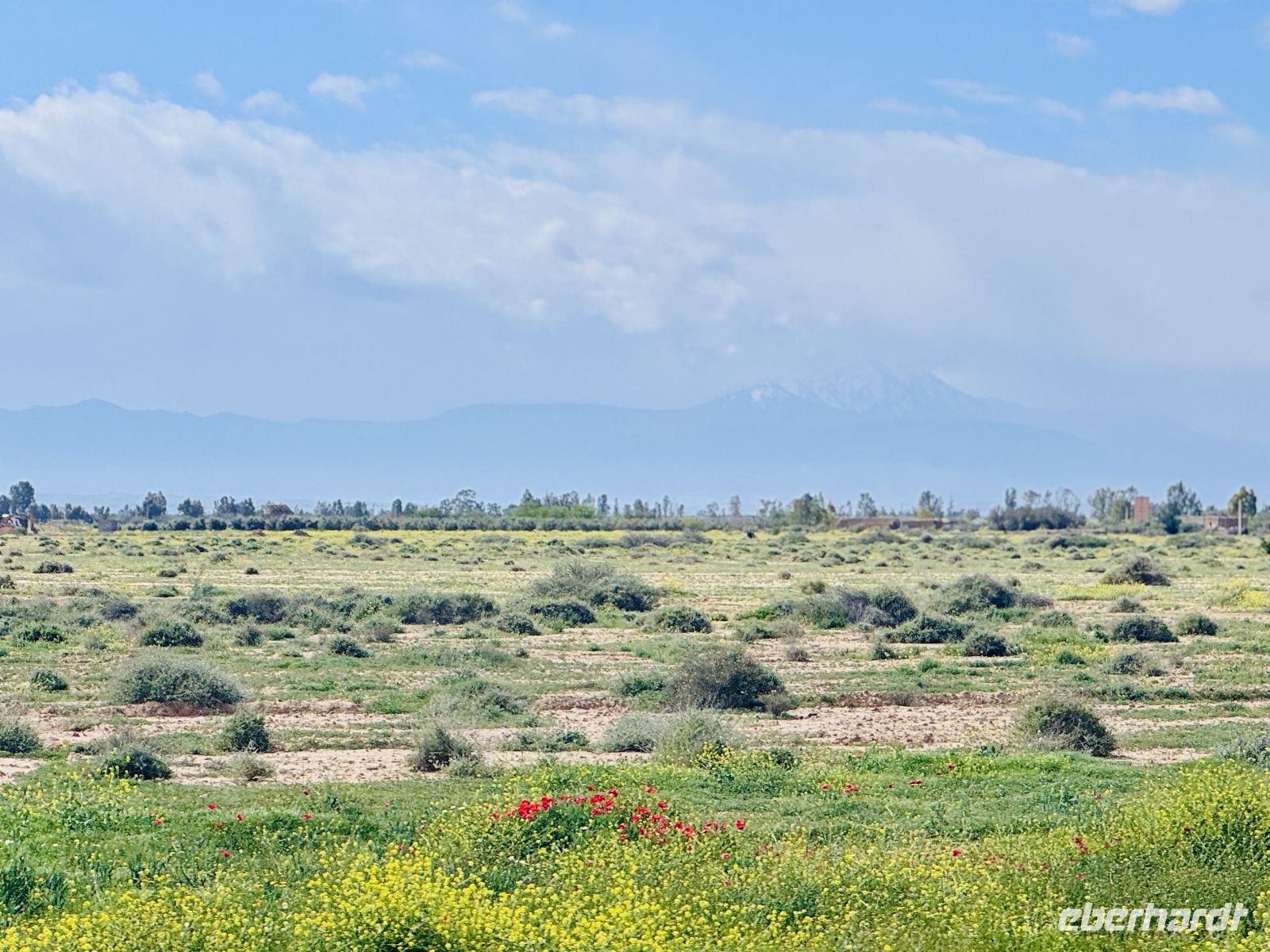 3. Tag - Fahrt von Marrakesch nach Essaouira &ndash; &copy;  (Eberhardt TRAVEL)