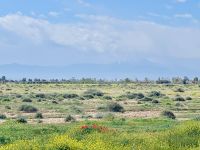 3. Tag - Fahrt von Marrakesch nach Essaouira &ndash; &copy; Christin Kuschka (Eberhardt TRAVEL)