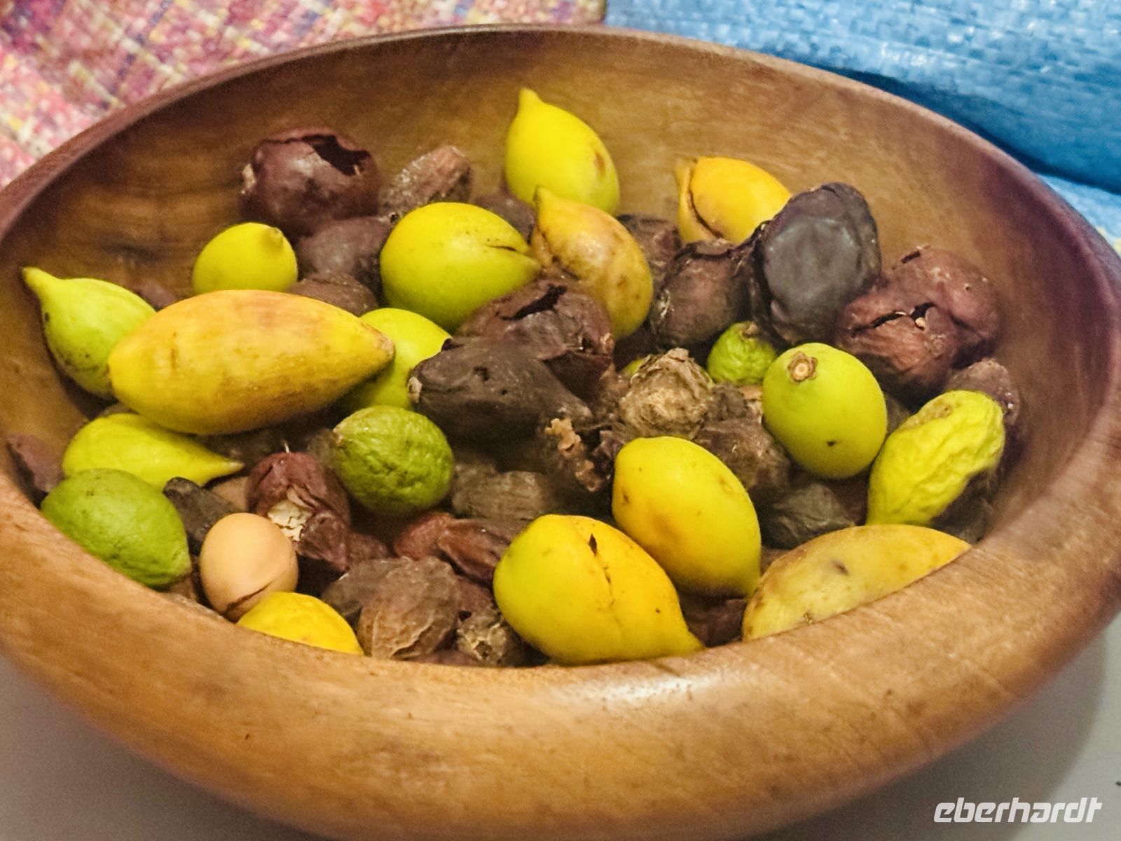 3. Tag - Arganfrucht &ndash; &copy;  (Eberhardt TRAVEL)