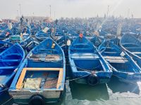 3. Tag - Hafen von Essaouira &ndash; &copy; Christin Kuschka (Eberhardt TRAVEL)