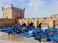 3. Tag - Hafen von Essaouira &ndash; &copy; Christin Kuschka (Eberhardt TRAVEL)
