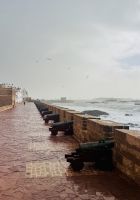 3. Tag - Festungsmauer Mogador, Essaouira &ndash; &copy; Christin Kuschka (Eberhardt TRAVEL)