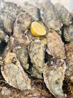 3. Tag - Frische Austern am Hafen von Essaouira &ndash; &copy; Christin Kuschka (Eberhardt TRAVEL)