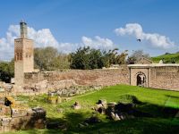 5. Tag - Besichtigung des Ruinenensemble der Chellah &ndash; &copy; Christin Kuschka (Eberhardt TRAVEL)