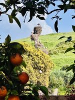 5. Tag - Störche in der Chellah &ndash; &copy; Christin Kuschka (Eberhardt TRAVEL)