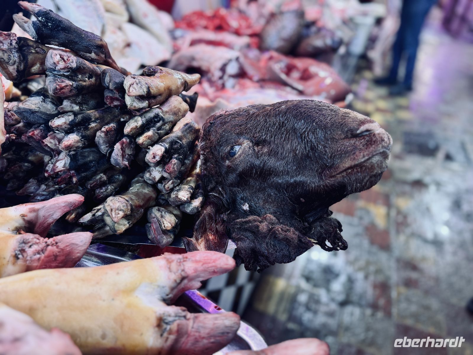 6. Tag - Besuch des Souks, Meknes &ndash; &copy;  (Eberhardt TRAVEL)