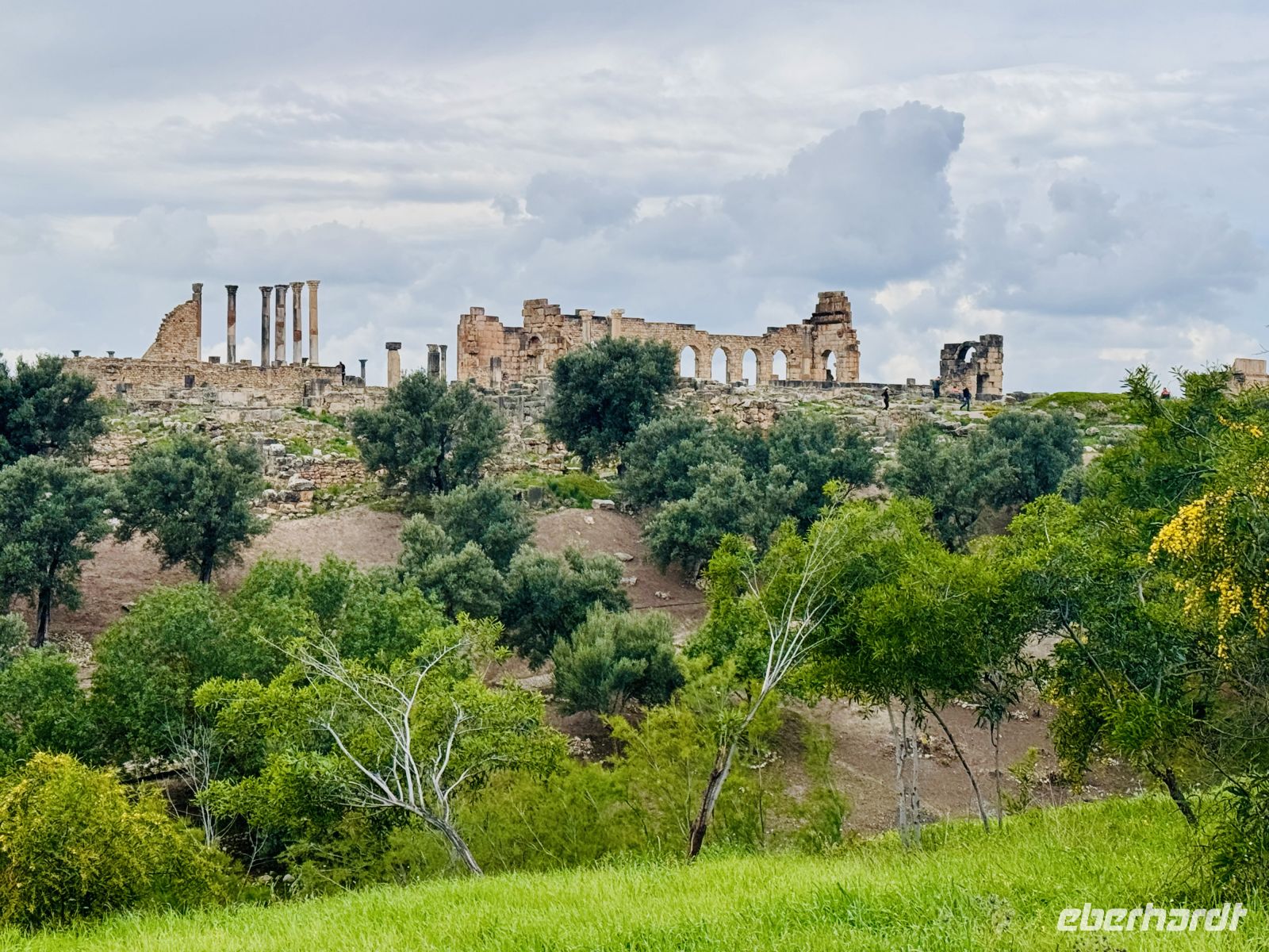6. Tag - Die ehemalige römische Stadt Volubilis  &ndash; &copy;  (Eberhardt TRAVEL)