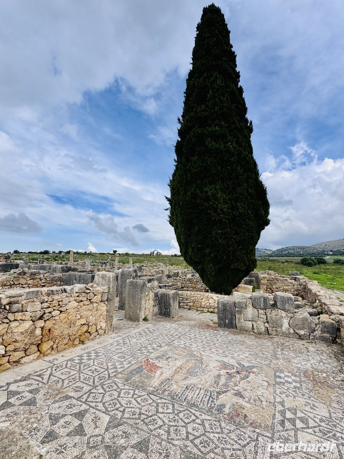 6. Tag - Die ehemalige römische Stadt Volubilis  &ndash; &copy;  (Eberhardt TRAVEL)