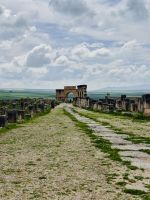 6. Tag - Die ehemalige römische Stadt Volubilis  &ndash; &copy; Christin Kuschka (Eberhardt TRAVEL)
