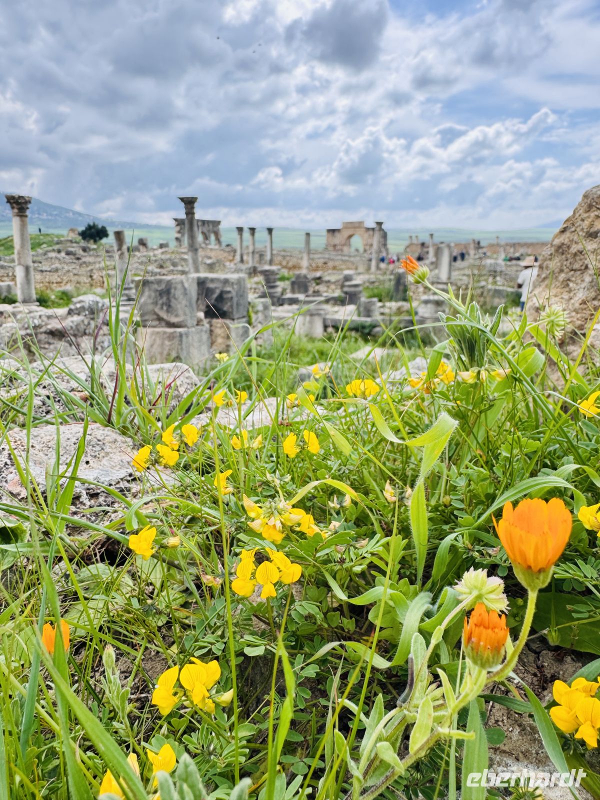 6. Tag - Die ehemalige römische Stadt Volubilis  &ndash; &copy;  (Eberhardt TRAVEL)