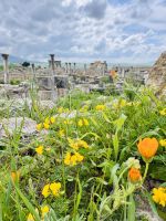 6. Tag - Die ehemalige römische Stadt Volubilis  &ndash; &copy; Christin Kuschka (Eberhardt TRAVEL)