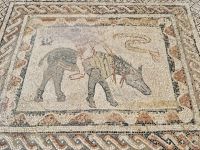 6. Tag - Die ehemalige römische Stadt Volubilis  &ndash; &copy; Christin Kuschka (Eberhardt TRAVEL)