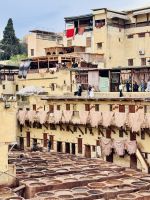 7. Tag - Besuch der Chouara-Gerberei, Fès &ndash; &copy; Christin Kuschka (Eberhardt TRAVEL)