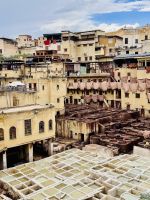 7. Tag - Besuch der Chouara-Gerberei, Fès &ndash; &copy; Christin Kuschka (Eberhardt TRAVEL)