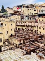 7. Tag - Besuch der Chouara-Gerberei, Fès &ndash; &copy; Christin Kuschka (Eberhardt TRAVEL)