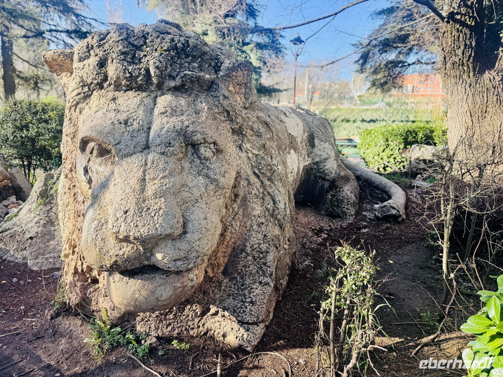 8. Tag - Der Löwe - Wahrzeichen von Ifrane &ndash; &copy;  (Eberhardt TRAVEL)