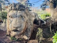 8. Tag - Der Löwe - Wahrzeichen von Ifrane &ndash; &copy; Christin Kuschka (Eberhardt TRAVEL)