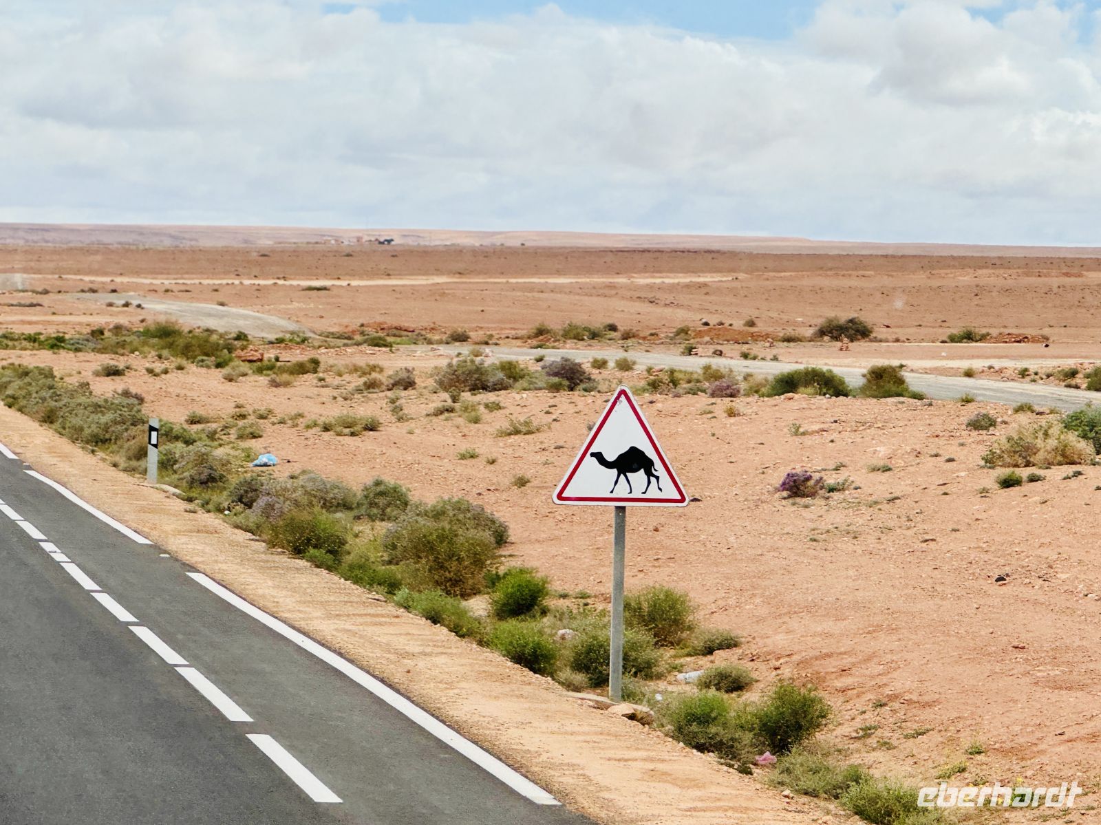 8. Tag - Achtung Dromedar! &ndash; &copy;  (Eberhardt TRAVEL)