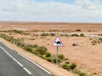 8. Tag - Achtung Dromedar! &ndash; &copy; Christin Kuschka (Eberhardt TRAVEL)