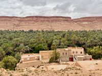 8. Tag - Ziz-Schlucht mit ihren Dattelpalmen  &ndash; &copy; Christin Kuschka (Eberhardt TRAVEL)