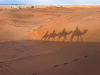 8. Tag - Erg Chebbi - Sanddünenlandschaft &ndash; &copy; Christin Kuschka (Eberhardt TRAVEL)