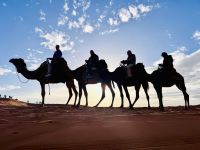 8. Tag - Auf dem Rücken eines Dromedar gehts es die Düne hinauf  &ndash; &copy; Christin Kuschka (Eberhardt TRAVEL)