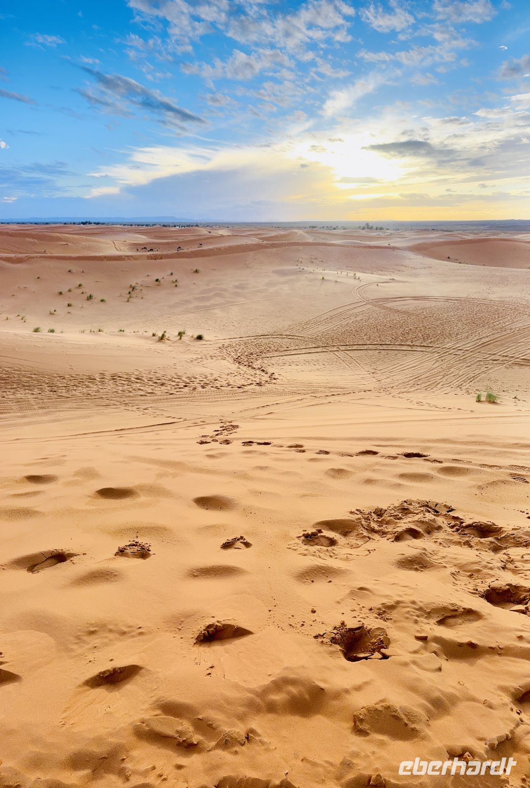 8. Tag - Erg Chebbi - Sanddünenlandschaft &ndash; &copy;  (Eberhardt TRAVEL)
