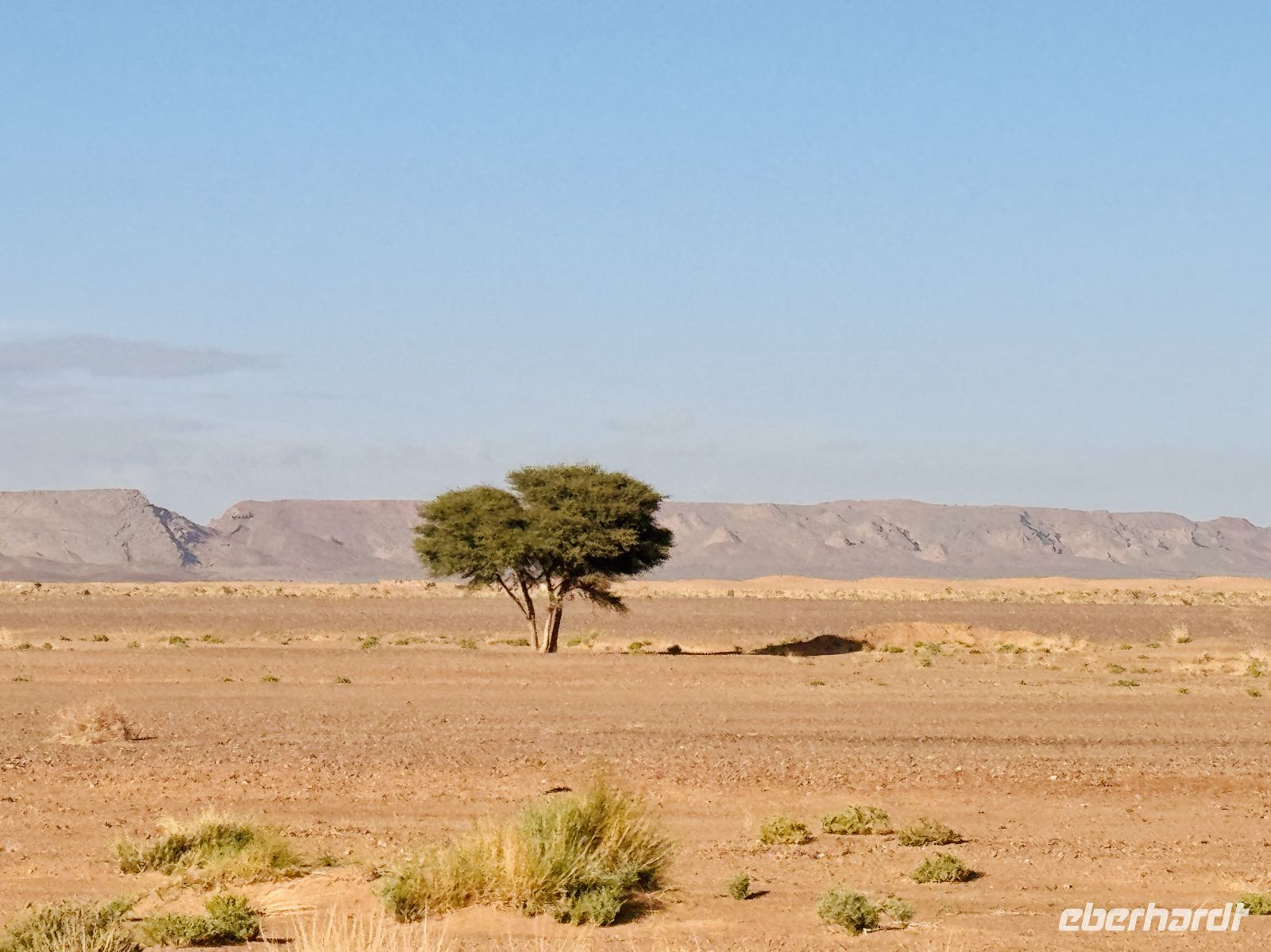 8. Tag - Fahrt in die Wüste  &ndash; &copy;  (Eberhardt TRAVEL)