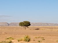 8. Tag - Fahrt in die Wüste  &ndash; &copy; Christin Kuschka (Eberhardt TRAVEL)