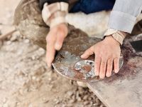 9. Tag - Besuch einer Fossilen-Werkstatt  &ndash; &copy; Christin Kuschka (Eberhardt TRAVEL)