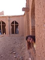 Hallo wer guckt den da?