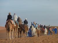 Dromedarritt in der Wüste