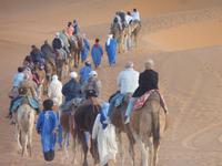 Dromedarritt in der Wüste