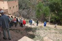 Spaziergang in der Palmerie
