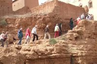 Spaziergang in der Palmerie