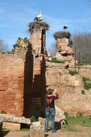 In der Ausgrabungsstätte Chellah